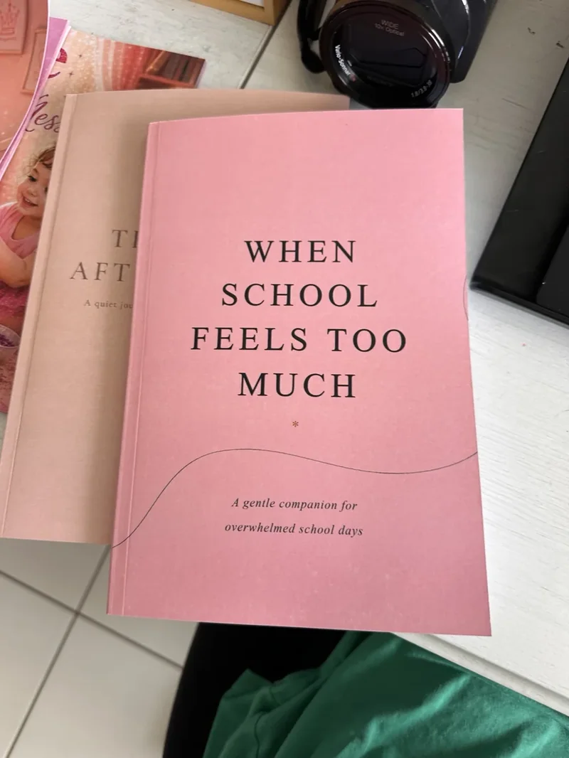 A photograph of the pink When School Feels Too Much paperback resting on a desk